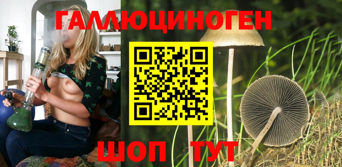 Псилоцибиновые грибы Magic Shrooms  Вход с VPN  Псилоцибиновые грибы Psilocybe  Карачаевск 